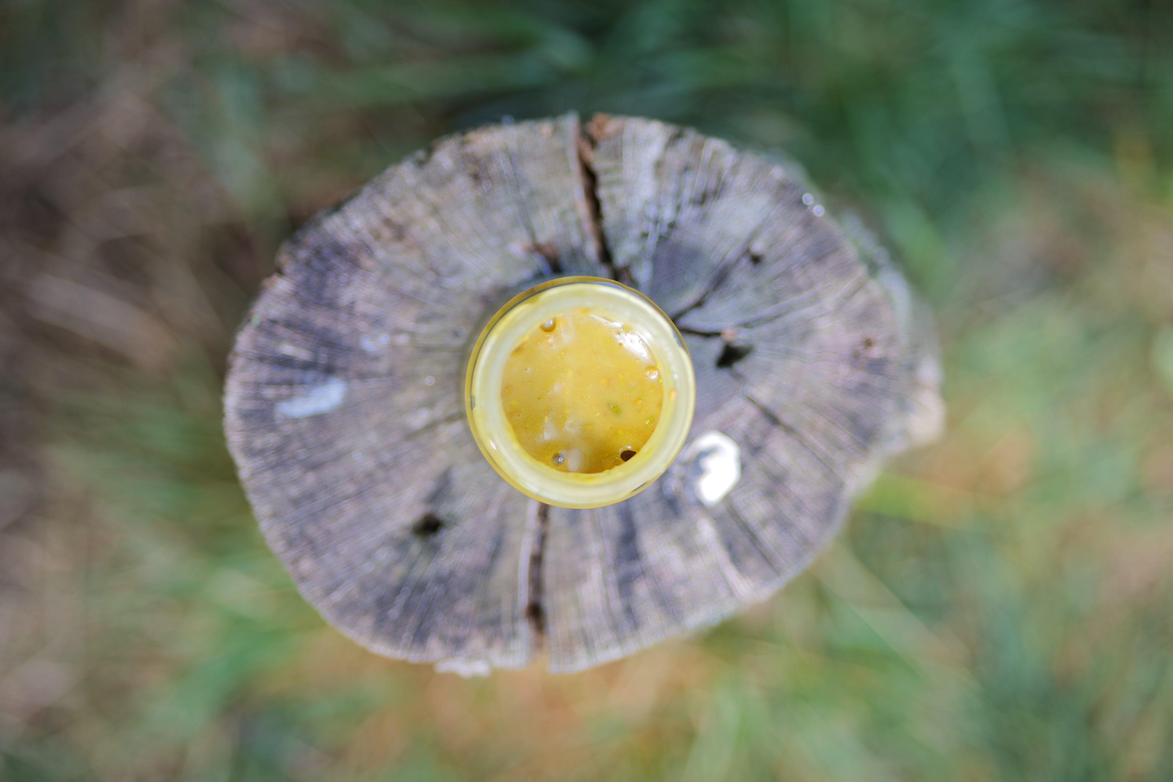 Royal White Pistachio Honey (Limited Edition)