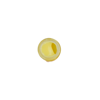 Premium Raw Royal Jelly – High Quality &amp; Fresh