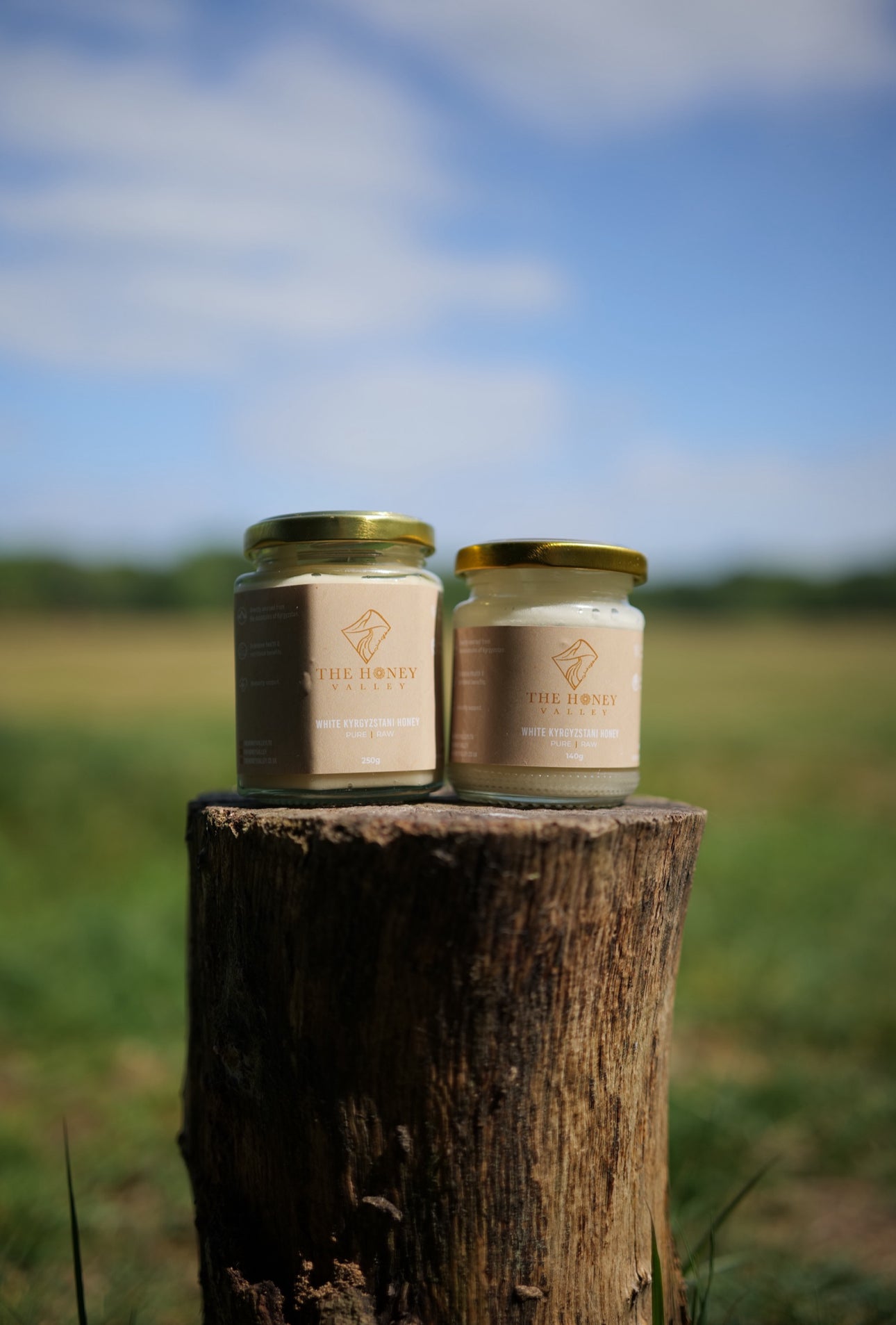 Raw White Kyrgyzstani Honey
