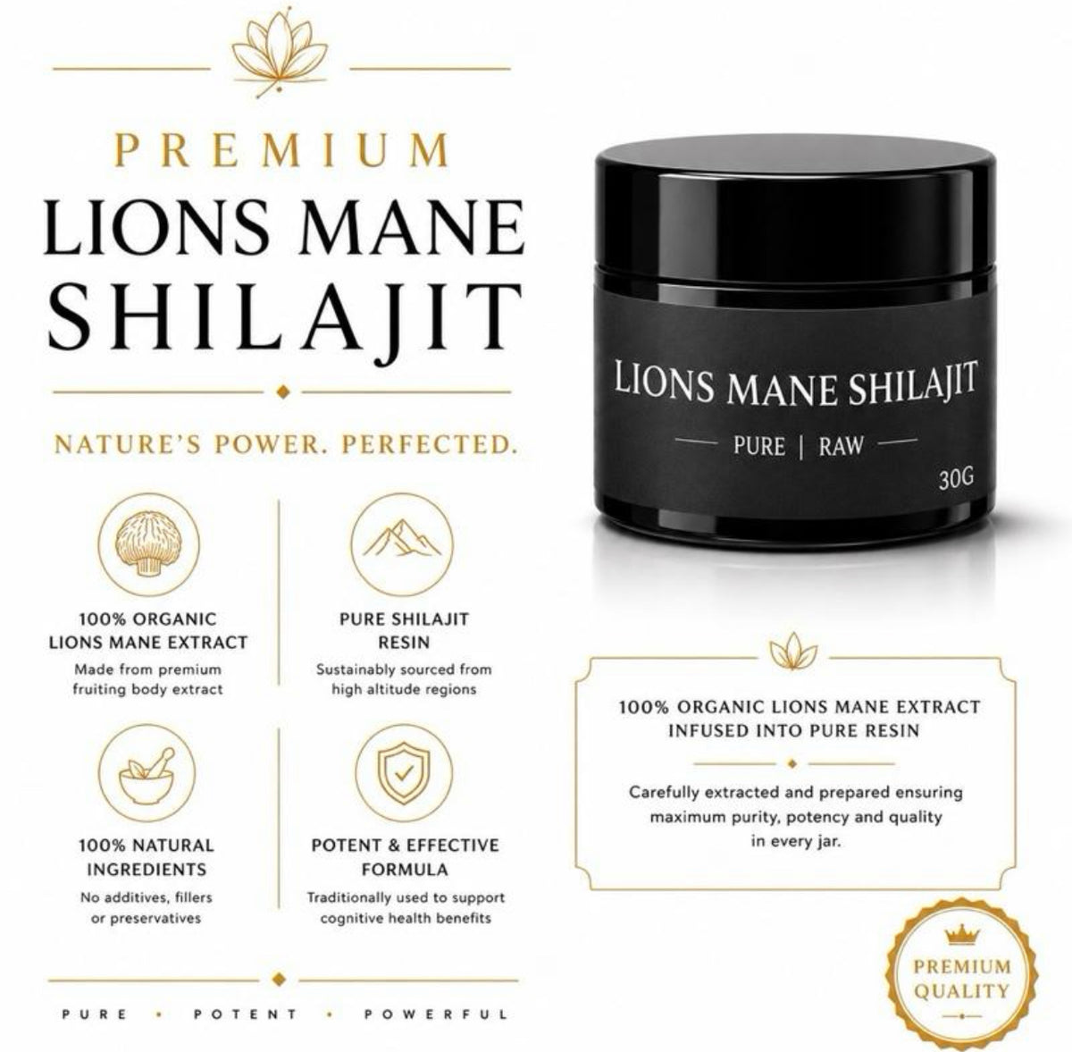 Lions Mane Shilajit