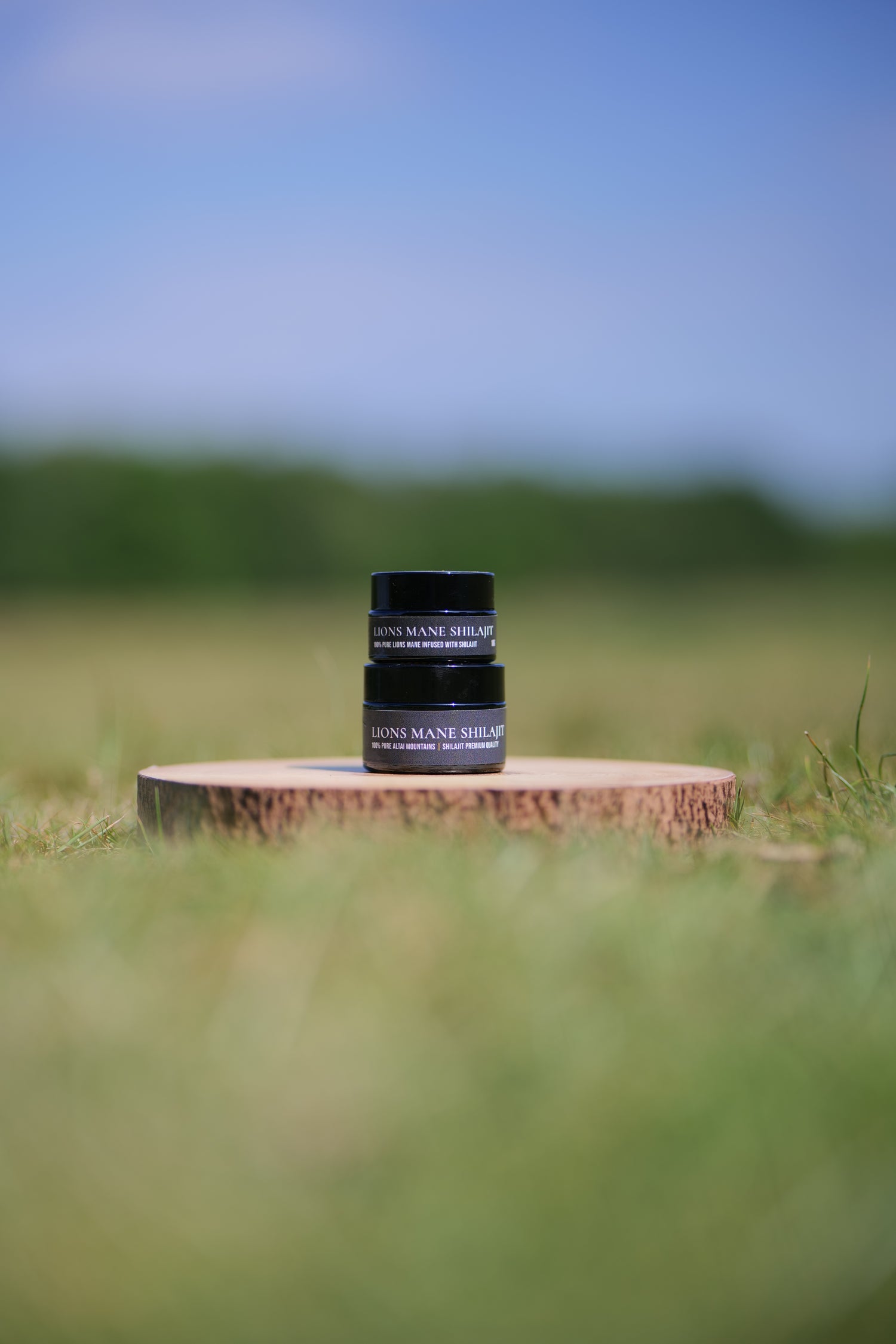 Lions Mane Shilajit
