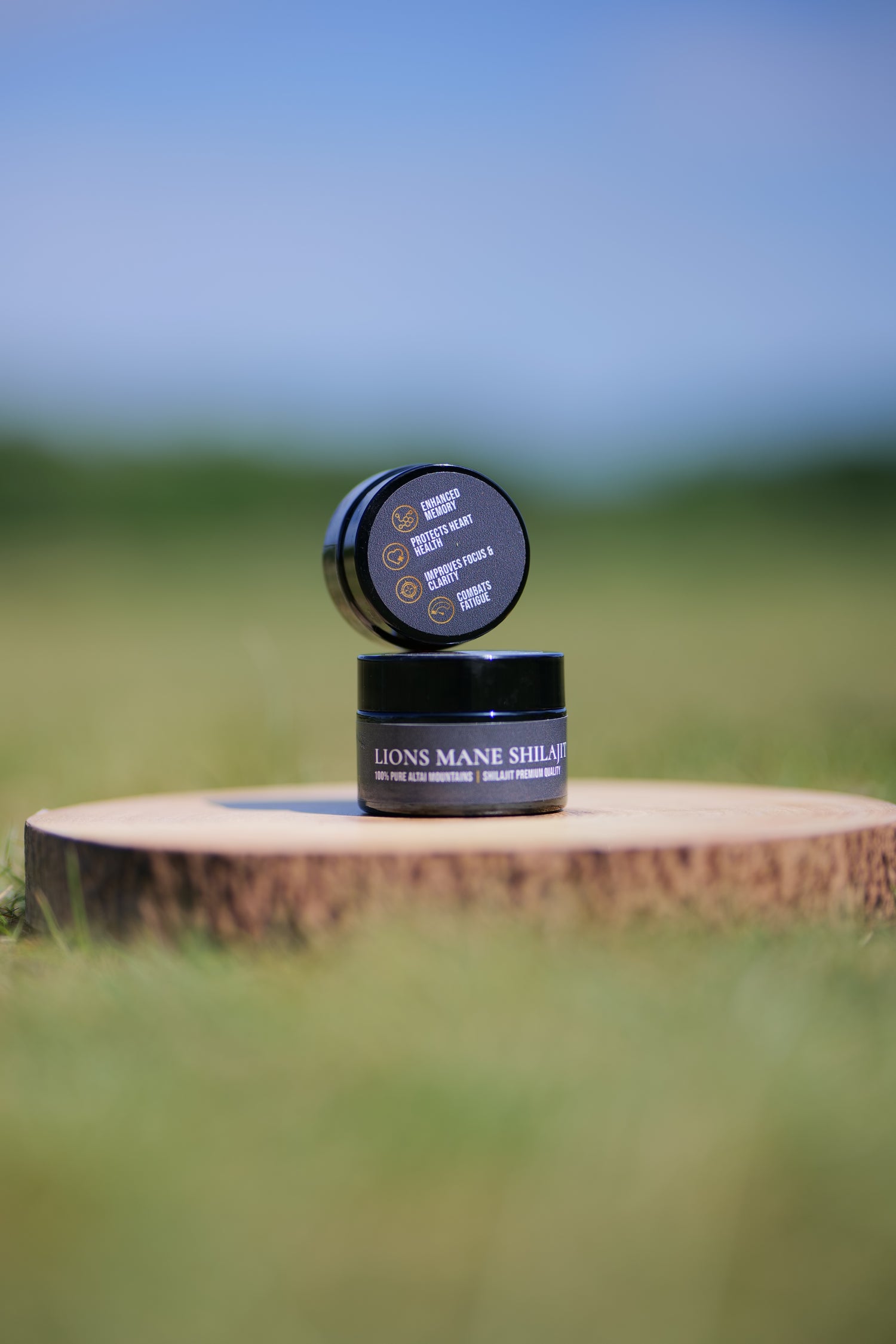 Lions Mane Shilajit