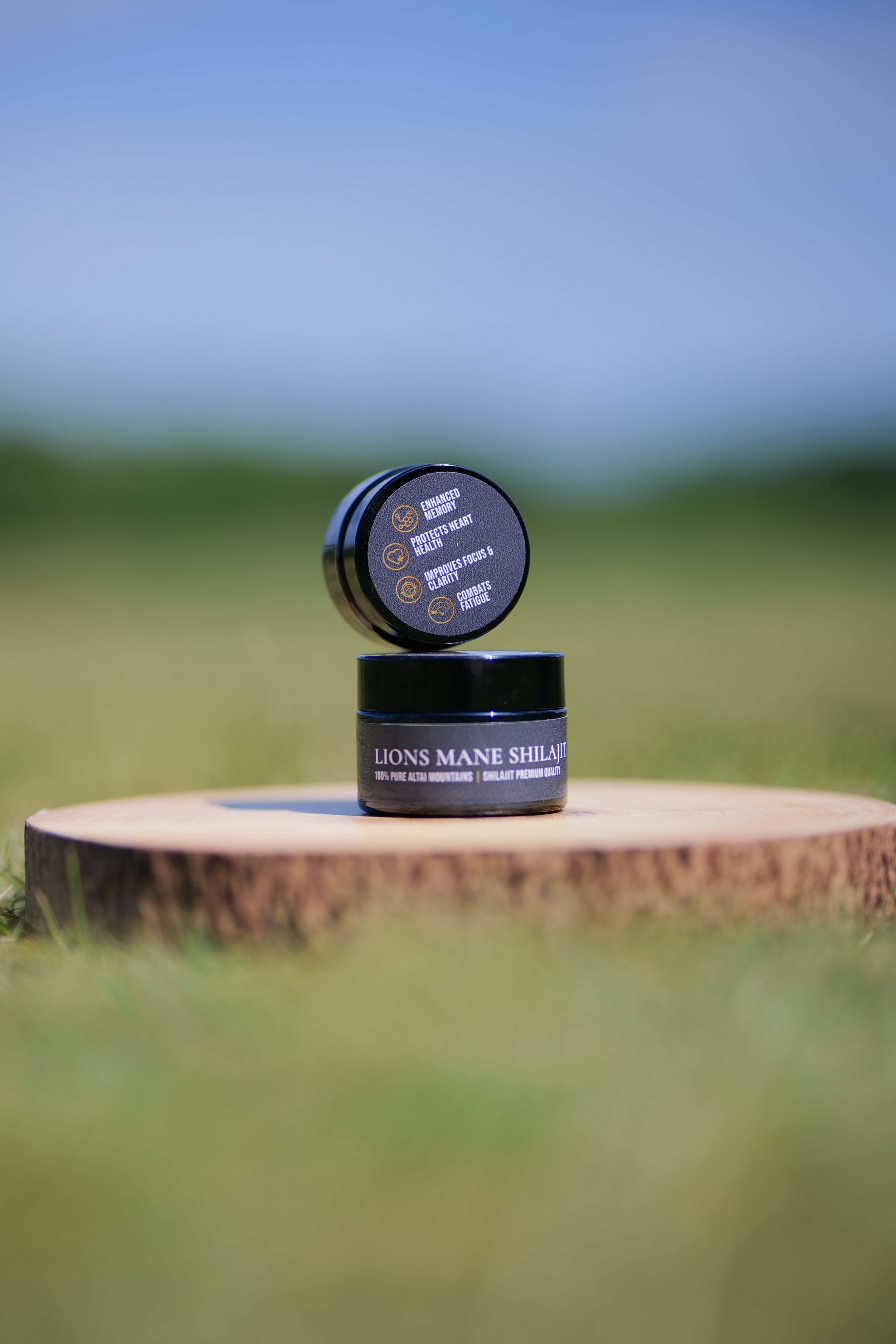 Lions Mane Shilajit