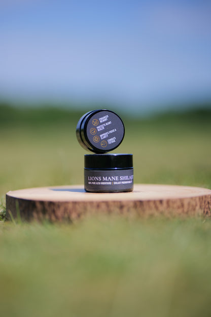 Lions Mane Shilajit